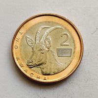 Замбия 2 квачи  2024 г.
