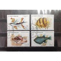 Сен-Томе и Принсипи. 1979 год. Фауна. Рыбы (1256)