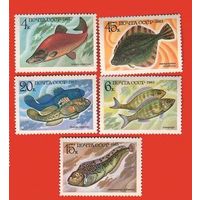 Марки СССР 1983 год.  Промысловые рыбы. 5414-5418. Полная серия из 5 марок.