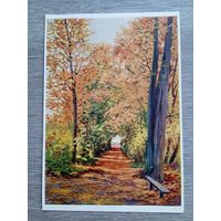 1953. Меллин. Ясная Поляна. Аллея орешника