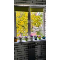 Стеклопакет профиль Rehau
