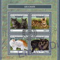 ФАУНА животные млекопитающие  кошки  БЛОК сто