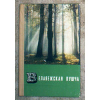 Белавежская пушча.