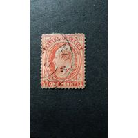 Великобритания\340с\Фолклендские острова,Фолкленды 1904 король Эдуард VII