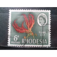 Родезия, 1966. Растение и королева Елизавета II