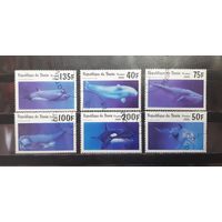 Бенин. 1996 год. Фауна. Киты, дельфины (1257)