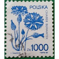 Польша 1989. Флора. Chaber blawatek