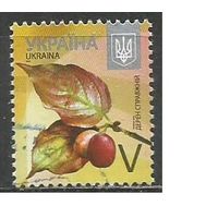 Украина. 8-й стандарт. Тёрн настоящий. 2015г. Mi#1500.