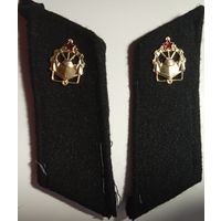 Петлицы. Инженерные войска