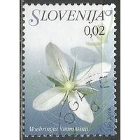 Словения. Цветы. Асплениум. 2007г. Mi#610.