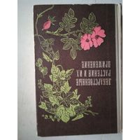 Лекарственные растения и их применение