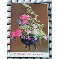 Открытка поздравляю СССР