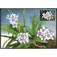 Картмаксимум "Орхидея"