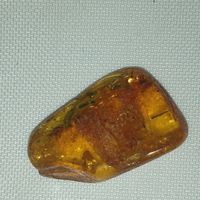 Янтарь с двумя инклюзами