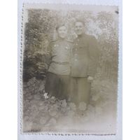 Фото в коллекцию