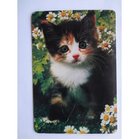 Календарик 1997 г. Котенок и ромашки.