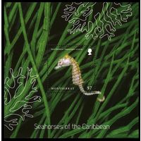 2015 Монтсеррат 1768/B169 Морская фауна - Морской конек 6,00 евро