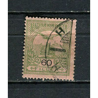 Венгрия - 1913 - Турул и Корона 60f - [Mi.123y] - 1 марка. Гашеная.  (Лот 39DP)