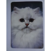 Календарик 1997 г. Белый кот.
