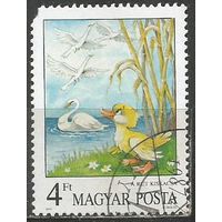 Венгрия. Водоплавающие птицы. 1984г. Mi#3940.