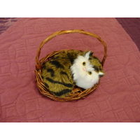 Кот, котик в корзине