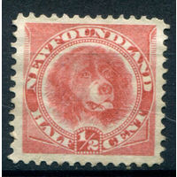 Британские колонии - Ньюфаундленд - 1887/96г. - ньюфаундленд, 1/2 с - 1 марка - чистая, без клея, есть пятнышки по перфорации [Mi 35]. #3-WB-90-A-1