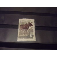 СССР 1964 лось