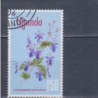 [284] Уганда 1969. Флора.Цветы. Гашеная марка.