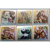 Животные Азии.