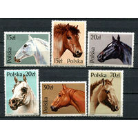 Польша - 1989 - Лошади - [Mi.3190-3195] - 6 марок. MNH.  (Лот 47JK)-TG2P48