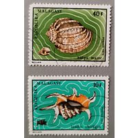 Ракушки. Мадагаскар, 1973