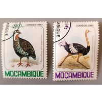Птицы. Мозамбик, 1980