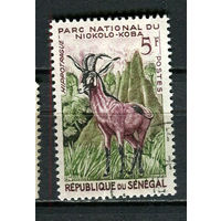 Сенегал - 1960 - Фауна. Антилопа 5Fr - [Mi.233] - 1 марка. Гашеная.  (Лот 21JA)-TG3P52