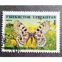 Марка Узбекистан 1995 год Бабочка