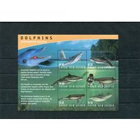 Папуа Новая-Гвинея. Морская фауна. Дельфины. Блок