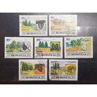 Монголия. Флора. Деревья (258)