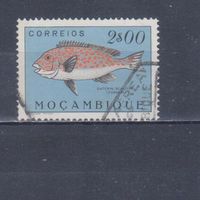 [1975] Португальский Мозамбик 1951. Фауна.Рыба.2 э. Гашеная марка.