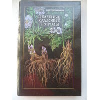 Целебные кладовые природы // Иллюстратор: 	В. Ковалев