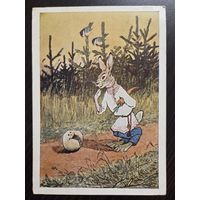 Рачев Колобок 1953 подписанная открытка СССР