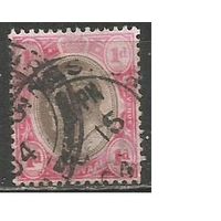 Южная Африка. Трансваль. Король Эдуард VII. 1902г. Mi#103.
