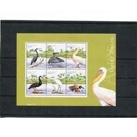 Гвинея-Биссау. Фауна. Птицы. Блок