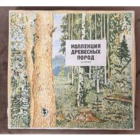 Коллекция древесных пород. Учебная.