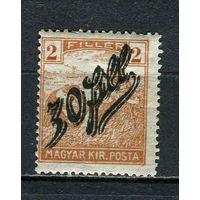 Сербская оккупация - Венгрия - Темешвар - 1919 - Надпечатка на марках Венгрии 30f на 2f - [Mi.3] - 1 марка. MNH.  (Лот 30JA)-TG3P52