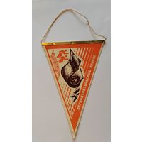 Вымпел. Барановичи. Легкоатлетический пробег.