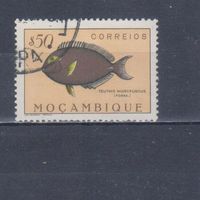 [1123] Португальский Мозамбик 1951. Фауна.Рыба.0,50 э. Гашеная марка.