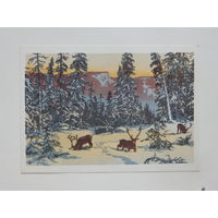 Мешков олени 1966   10х15  см
