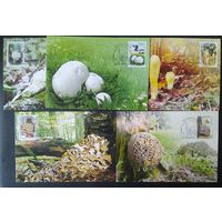 Беларусь 2010 КМ грыбы .