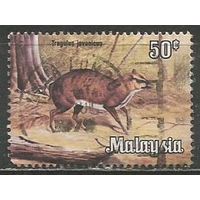 Малайзия. Животный мир юга Азии. Малый оленёк. 1979г. Mi#191.