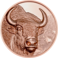 Монголия 250 тугриков 2025г. "Мистический бизон. Зубр". PROOF. Монета в капсуле; сертификат. МЕДЬ 50гр.