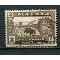 Малайские штаты - Селангор - 1961/1962 - Султан Салахуддин Абдул Азиз Шах и рисовое поле 4С - [Mi.92] - 1 марка. Гашеная.  (Лот 63Gy)-T4P32